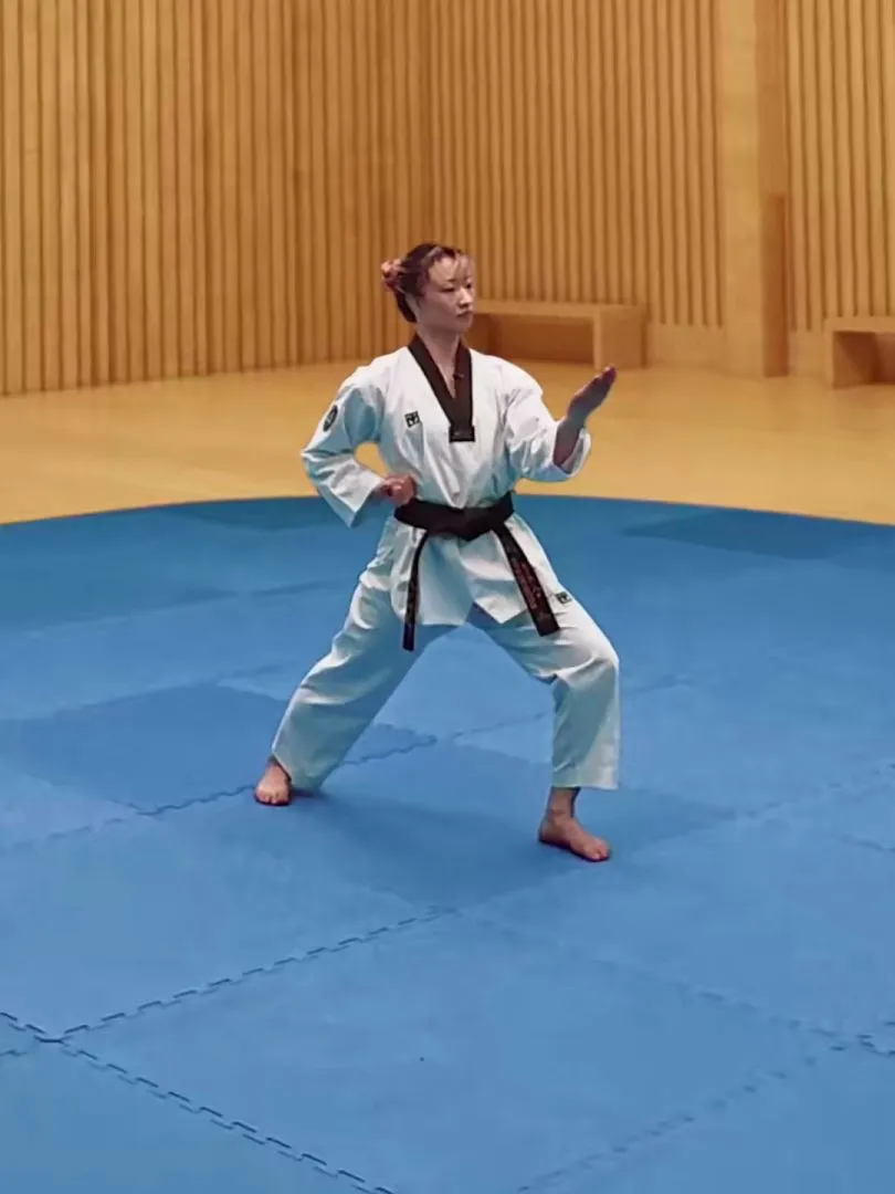 Hansonnal-momtong-yeop-makgi, Single Knifehand Side Block