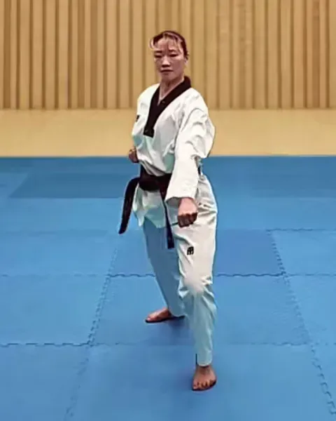 Arae-makgi, Low Block