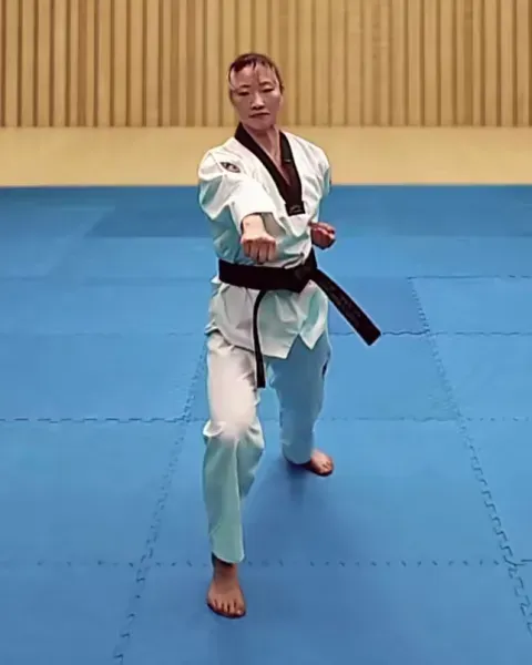 Momtong-jireugi, Punch