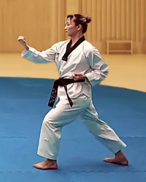 An-palmok-biteureo-makgi, Inner Forearm Twisting Block