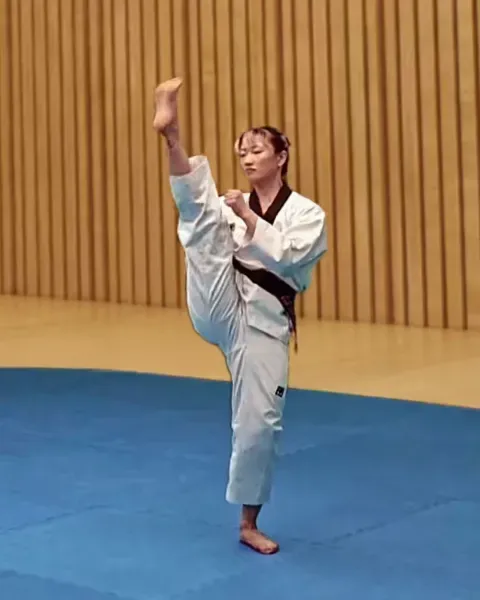 Ap-chagi, Front Kick