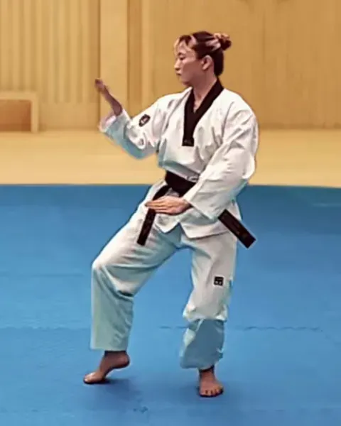 An-palmok-bakkat-makgi, Inner Forearm Outward Block (shuffle forward)