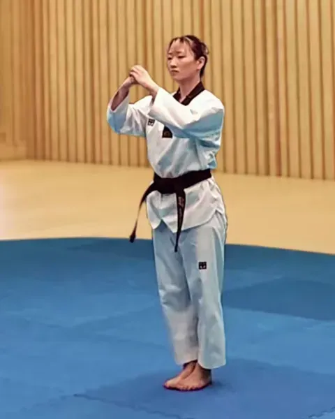 Bojumeok, Covered Fist