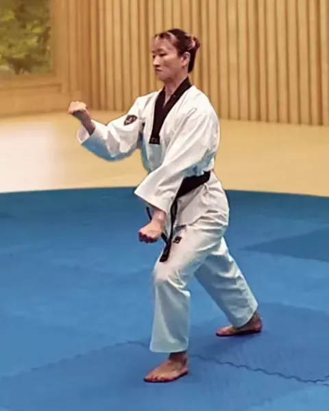 Gawi-makgi, Scissors Block (both directions)