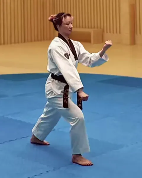 Gawi-makgi, Scissors Block (both directions)