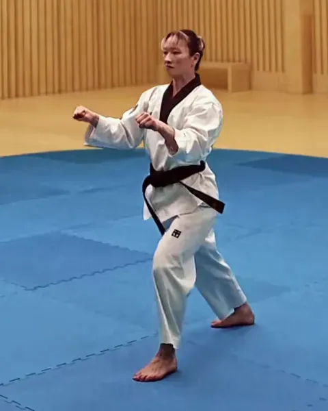 Momtong-hecheo-makgi, Middle Opening Block (Double Outside Block)