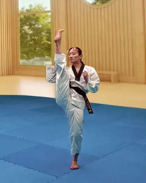 Ap-chagi, Front Kick