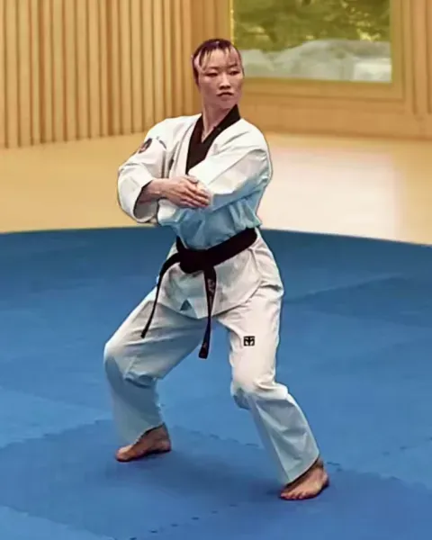 Palgup-pyojeok-chigi, Elbow Target Strike