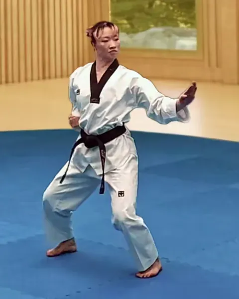 Hansonnal-momtong-yeop-makgi, Single Knifehand Side Block