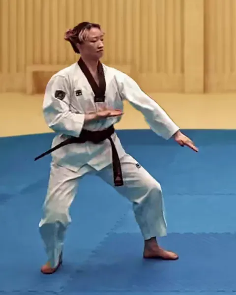 Sonnal-arae-makgi, Double Knifehand Low Block