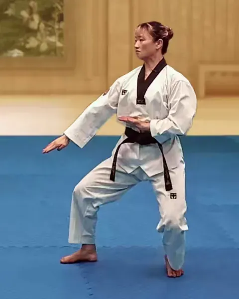 Sonnal-arae-makgi, Double Knifehand Low Block