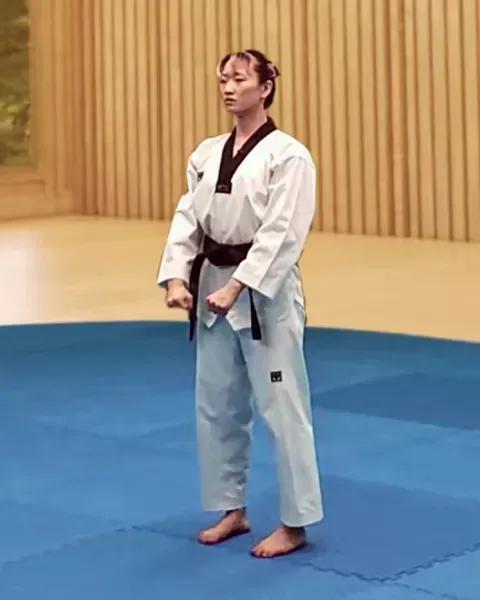Gibon, Basic