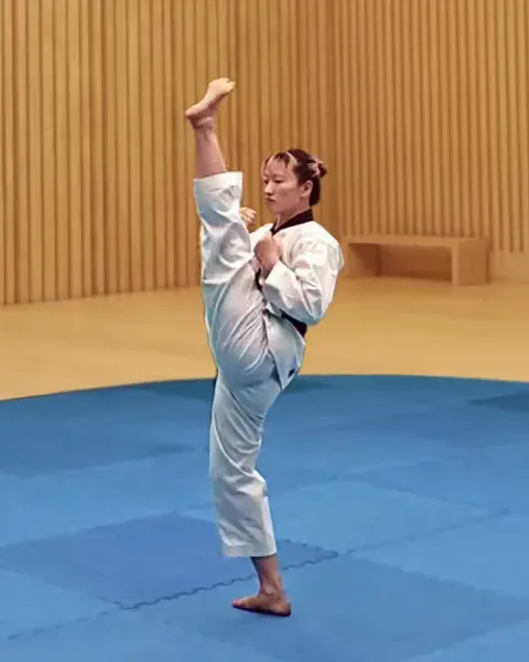 Ap-chagi, Front Kick