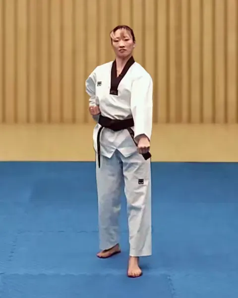 Arae-makgi, Low Block