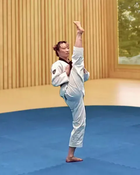 Ap-chagi, Front Kick
