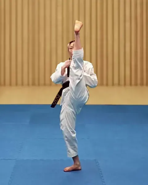 Ap-chagi, Front Kick