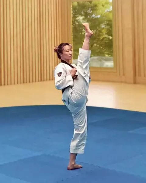 Ap-chagi, Front Kick