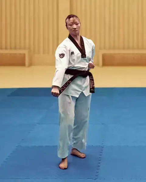Arae-makgi, Low Block