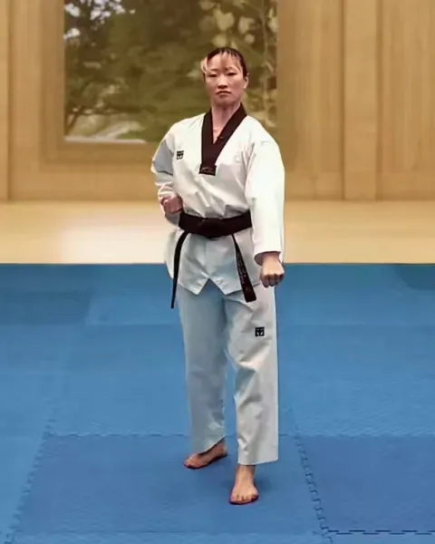 Arae-makgi, Low Block