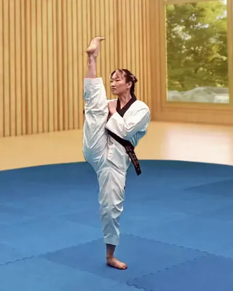 Ap-chagi, Front Kick