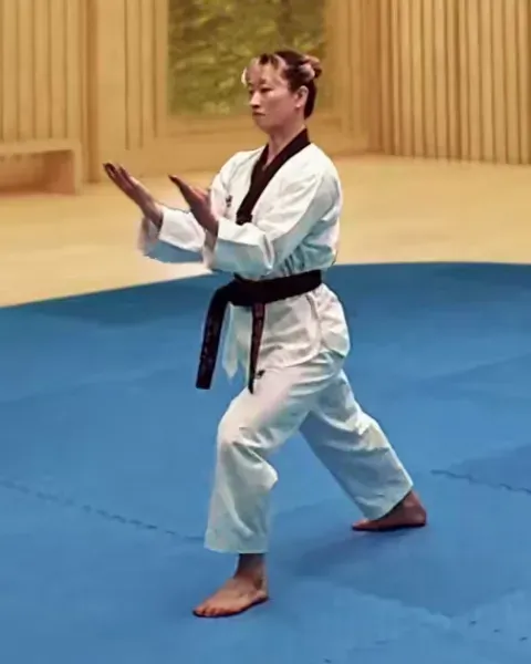 Sonnaldeung-hecheo-makgi, Ridgehand Opening Block