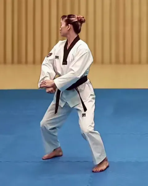 Arae-pyojeok-makgi, Low Target Block