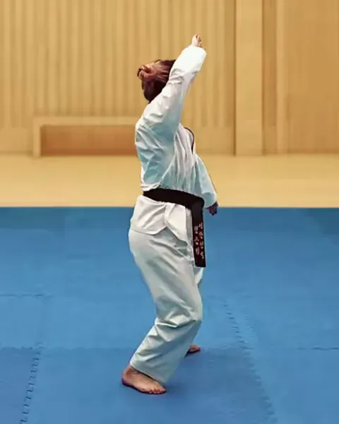 Sonnal-keumgang-makgi, Knifehand Diamond Block (right arm high)