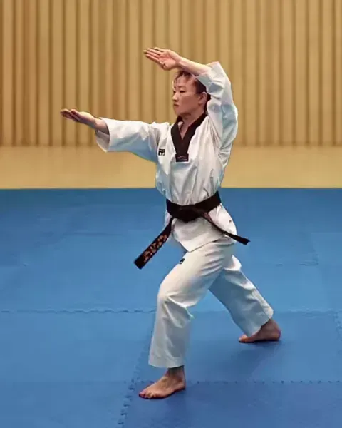 Jebipum-mok-chigi, Swallowform Knifehand Strike (left arm high)