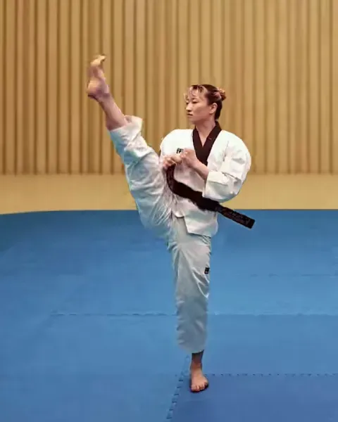Ap-chagi, Front Kick