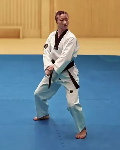 Arae-pyojeok-makgi, Low Target Block