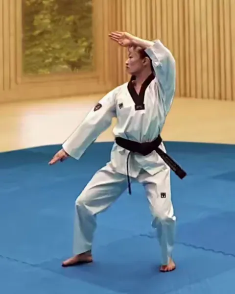Sonnal-keumgang-makgi, Knifehand Diamond Block