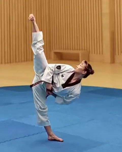 Yeop-chagi, Side Kick