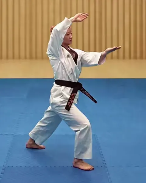 Jebipum-mok-chigi, Swallowform Knifehand Strike (right arm high)