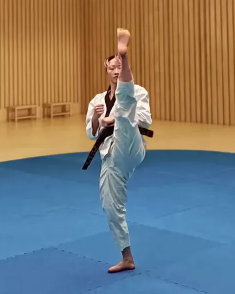 Ap-chagi, Front Kick