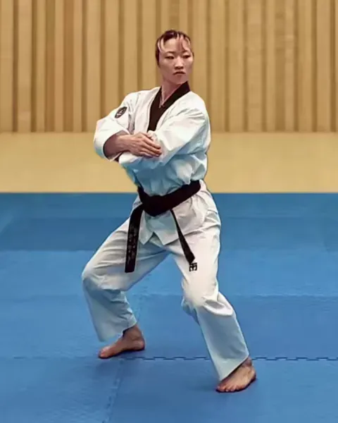 Palgup-pyojeok-chigi, Elbow Target Strike