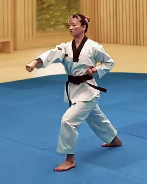 Momtong-jireugi, Punch