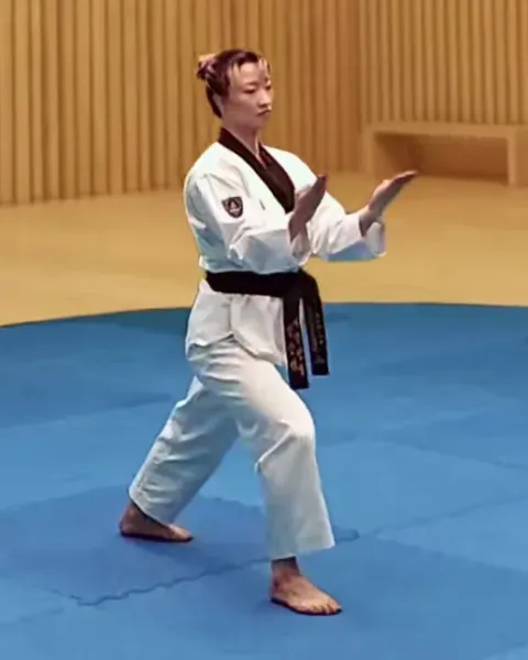 Sonnaldeung-hecheo-makgi, Ridgehand Opening Block
