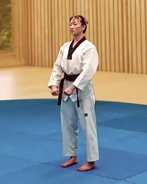 Gibon, Basic