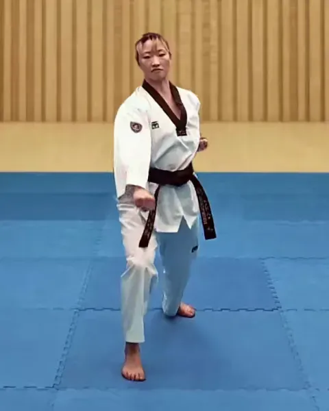 Arae-makgi, Low Block