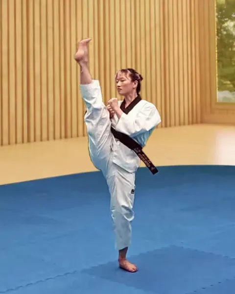 Ap-chagi, Front Kick