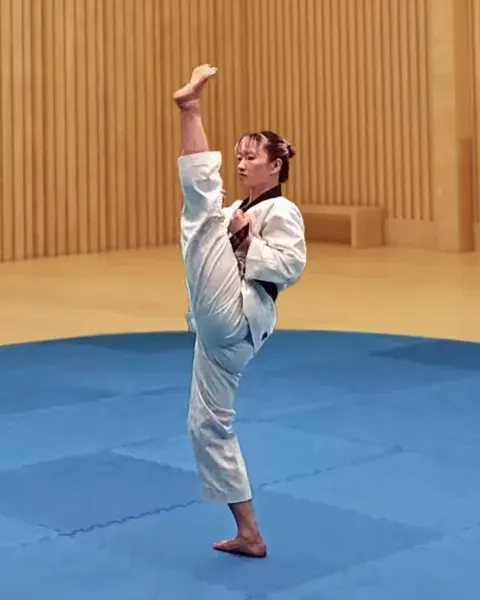 Ap-chagi, Front Kick