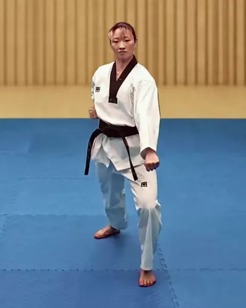 Arae-makgi, Low Block