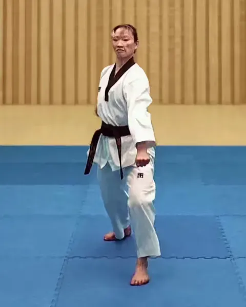 Arae-makgi, Low Block