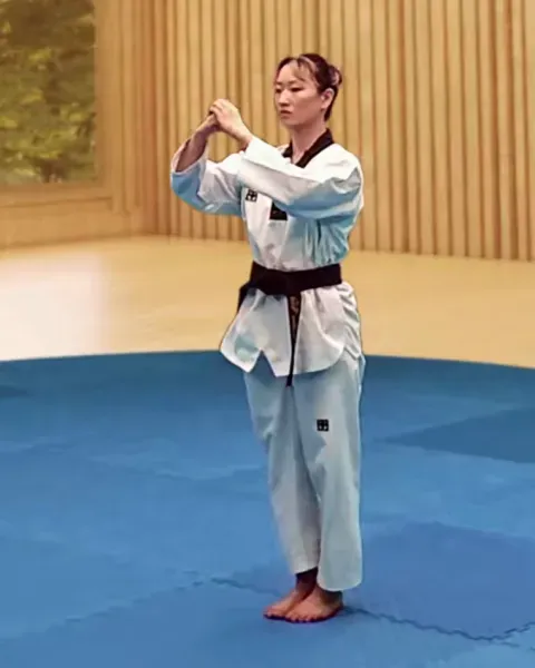 Bojumeok, Covered Fist