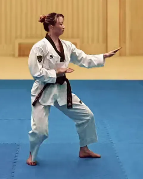 Sonnal-momtong-makgi, Double Knifehand Block