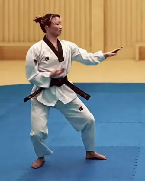 Sonnal-momtong-makgi, Double Knifehand Block