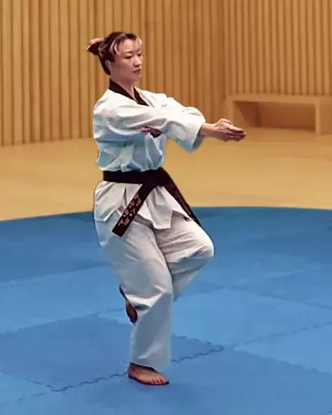 Pyeonsonkkeut-sewo-jjireugi, Vertical Fingertip Thrust