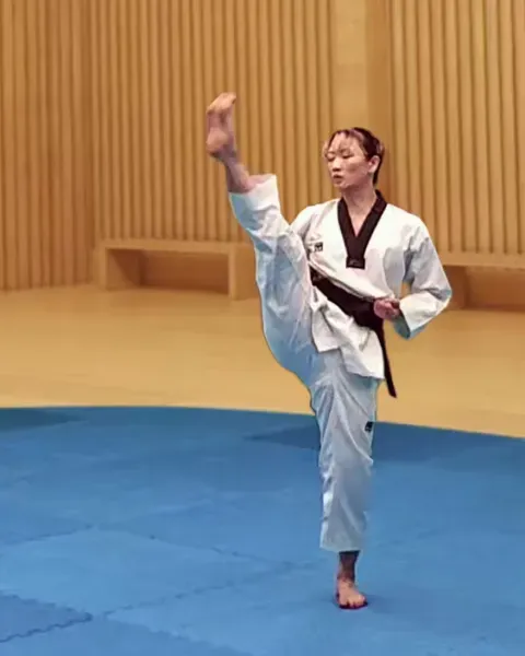 Ap-chagi, Front Kick