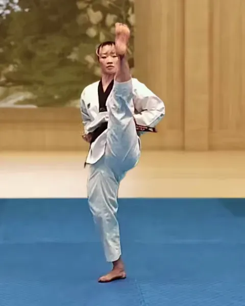 Ap-chagi, Front Kick