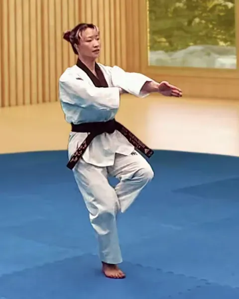Pyeonsonkkeut-sewo-jjireugi, Vertical Fingertip Thrust (Spearhand)